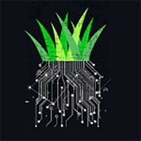 Grassroots Digital Marketing Studio logo
