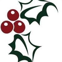 Holi Services Inc logo