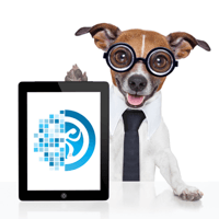 Hyperactive Digital logo