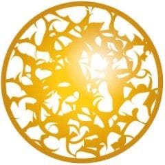 I-Source Gestion logo
