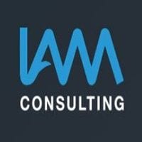 IAM Consulting logo