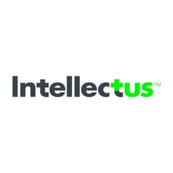 Intellectus Partners logo