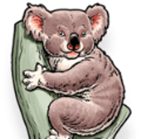 Koala Accounting & Taxation logo