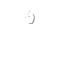 Lawrence J. Danny CPA P.C. logo