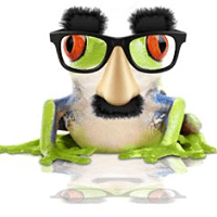 Leapfrog Services logo