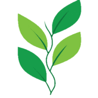 LinkvisionSoft logo