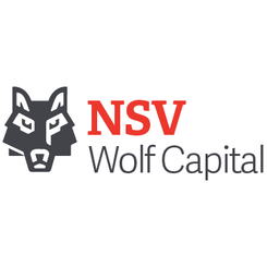 NSV logo