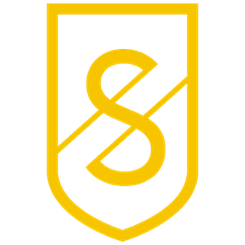 Switch Ventures logo