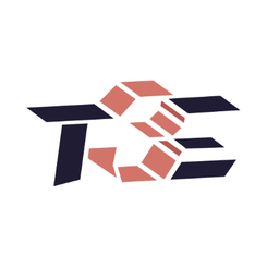 T3E logo