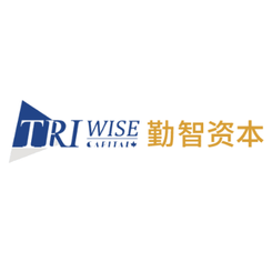 TriWise Capital logo